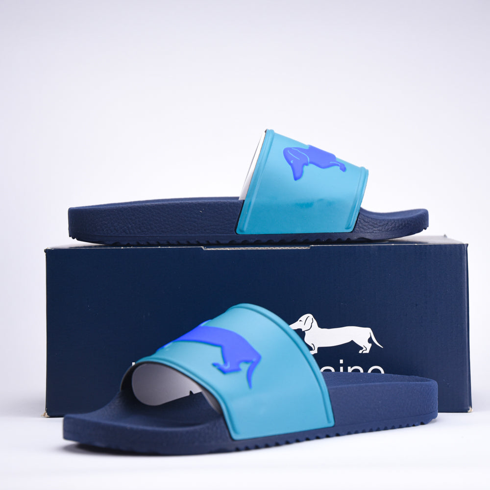 HARMONT AND BLAINE CIABATTA UOMO EVA - LOGO VERDE MARE - BLU Référence : EFM231-131-6540